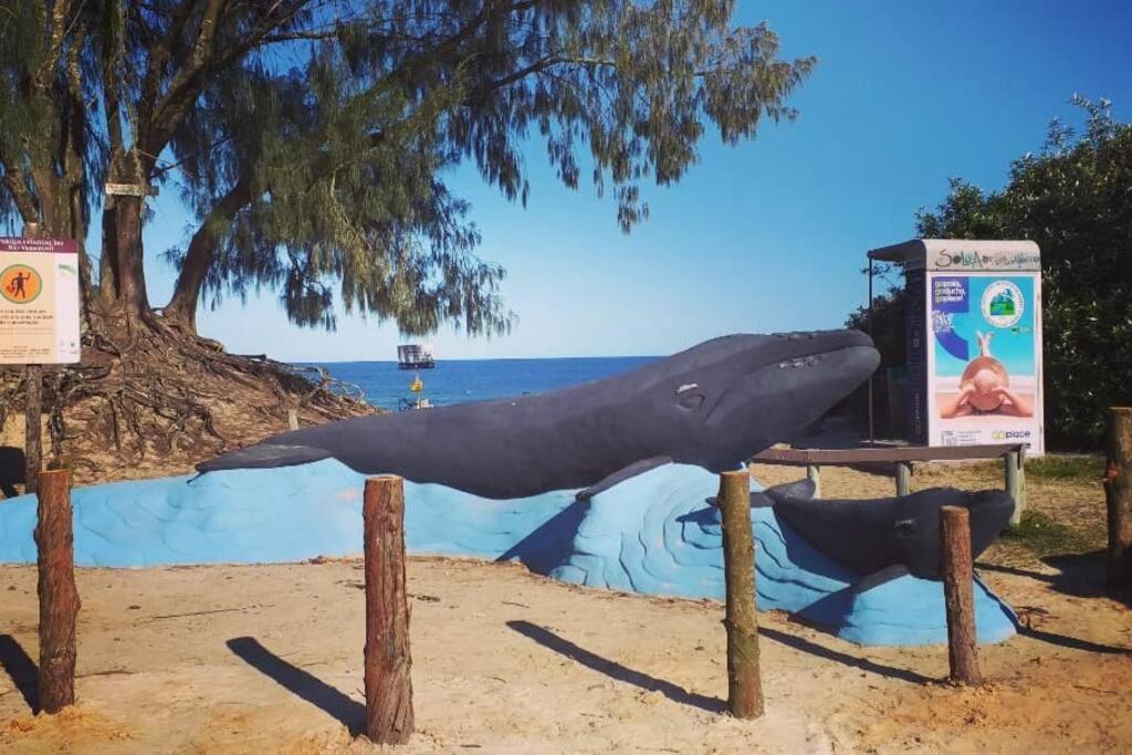 Tiny House Mocambique - Sua Casinha Em Floripa! Villa Florianópolis Eksteriør bilde